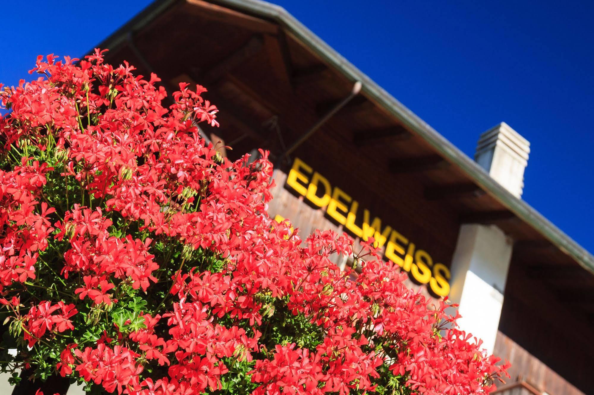 Edelweiss Hotel *