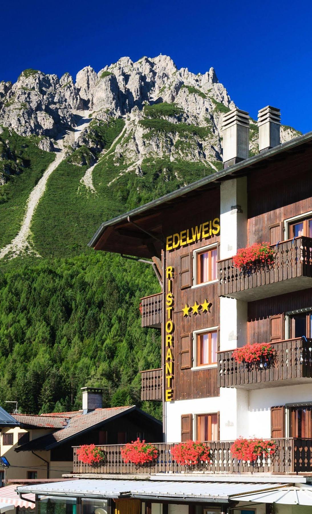 Edelweiss Hotel Cervia
